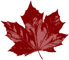 maple leaf